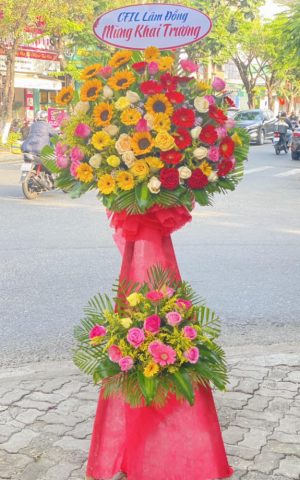 Giao hoa tận nơi tại Thị trấn Măng Đen, Kon Plông, Kon Tum